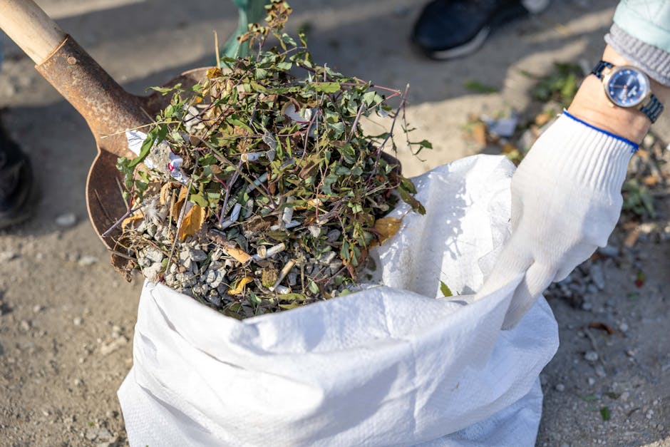 A close-up view of a white, heavy-duty polypropylene sack filled with garden waste, including tangled green and brown ivy vines and small twigs. The sack is upright on a gravel surface, with part of a rusty shovel handle visible resting on the edge of the bag, suggesting recent or ongoing rubbish collection. A person wearing a grey sweater, a wristwatch with a blue band, and a white glove is holding the sack open, preparing for disposal. The background shows more gravel and scattered debris, indicating an outdoor setting such as a driveway or garden area. The scene captures a moment of manual rubbish removal, aligning with private waste handling or alternative collection services like those offered by Waste Removal Barnet, for the clearance of garden or yard refuse. Lighting is natural, with sunlight casting minimal shadows, emphasizing the textures of the waste materials and the surrounding environment.
